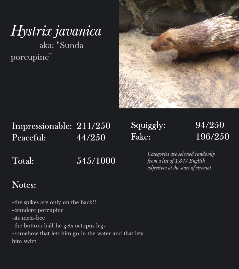 Hystrix javanica